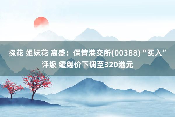 探花 姐妹花 高盛：保管港交所(00388)“买入”评级 缱绻价下调至320港元