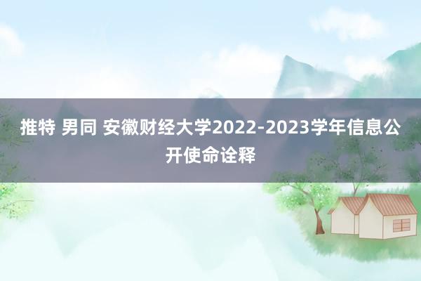 推特 男同 安徽财经大学2022-2023学年信息公开使命诠释