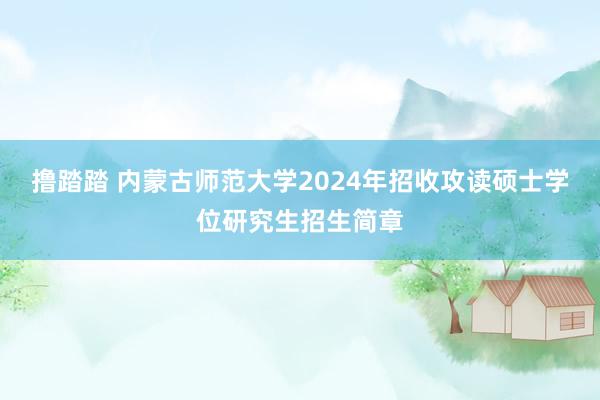 撸踏踏 内蒙古师范大学2024年招收攻读硕士学位研究生招生简章