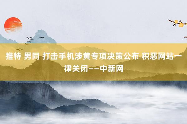 推特 男同 打击手机涉黄专项决策公布 积恶网站一律关闭——中新网