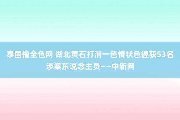 泰国撸全色网 湖北黄石打消一色情状色握获53名涉案东说念主员——中新网