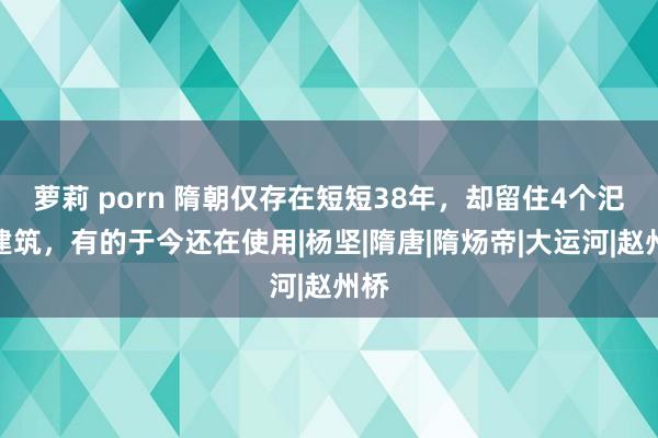 萝莉 porn 隋朝仅存在短短38年，却留住4个汜博建筑，有的于今还在使用|杨坚|隋唐|隋炀帝|大运河|赵州桥