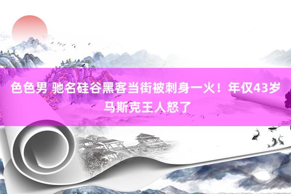 色色男 驰名硅谷黑客当街被刺身一火！年仅43岁 马斯克王人怒了