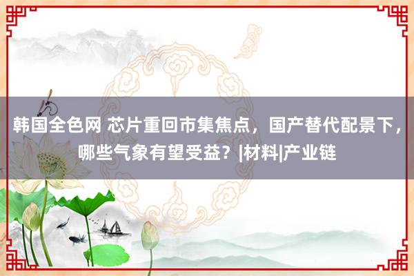 韩国全色网 芯片重回市集焦点，国产替代配景下，哪些气象有望受益？|材料|产业链