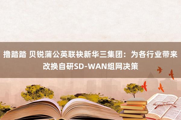 撸踏踏 贝锐蒲公英联袂新华三集团：为各行业带来改换自研SD-WAN组网决策