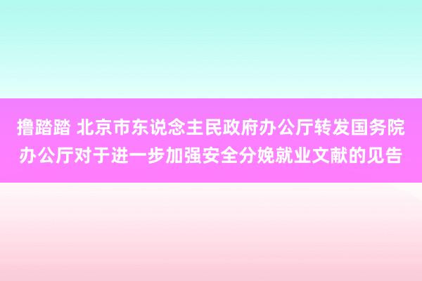 撸踏踏 北京市东说念主民政府办公厅转发国务院办公厅对于进一步加强安全分娩就业文献的见告