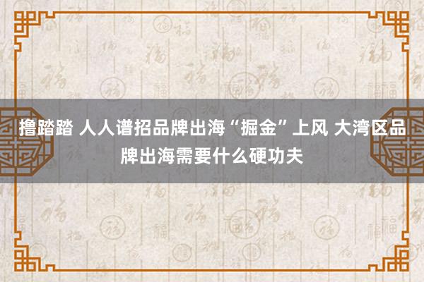 撸踏踏 人人谱招品牌出海“掘金”上风 大湾区品牌出海需要什么硬功夫