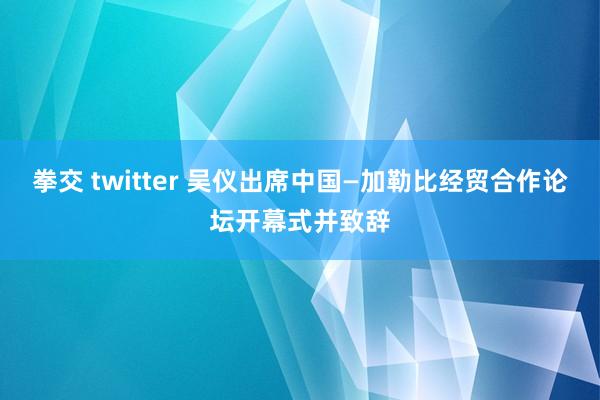 拳交 twitter 吴仪出席中国—加勒比经贸合作论坛开幕式并致辞