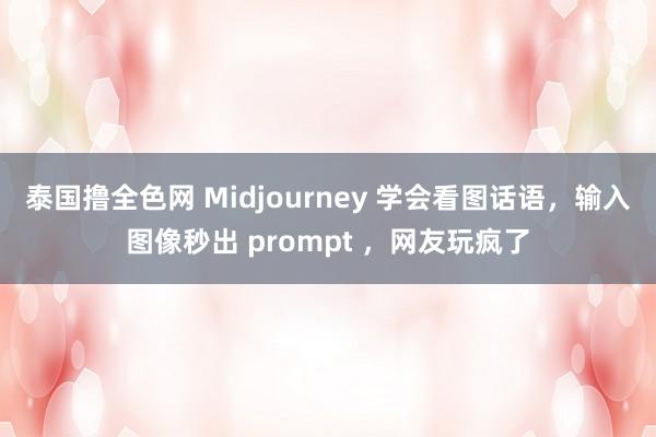 泰国撸全色网 Midjourney 学会看图话语，输入图像秒出 prompt ，网友玩疯了